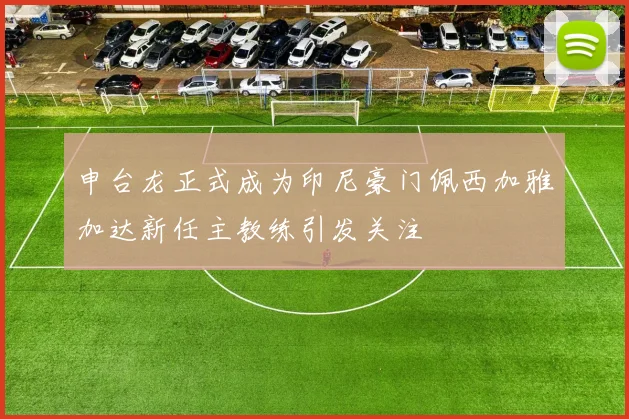申台龙正式成为印尼豪门佩西加雅加达新任主教练引发关注