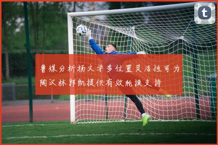 鲁媒分析杨文学多位置灵活性可为陶汉林郭凯提供有效轮换支持