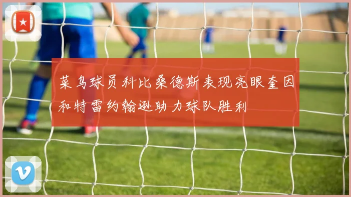 菜鸟球员科比桑德斯表现亮眼奎因和特雷约翰逊助力球队胜利
